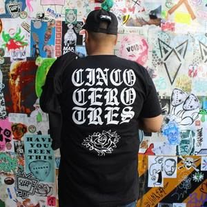 Meet your Posher, Henry